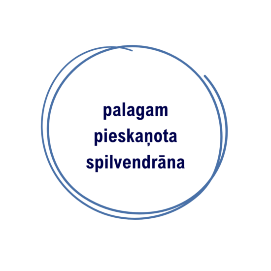 Palagam pieskaņota spilvendrāna